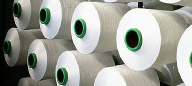 高溫算什么 這里有個展會火熱到爆表