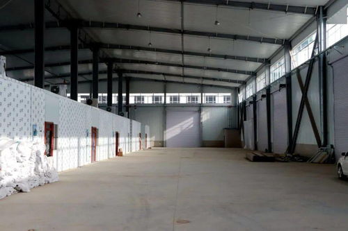 嗨購(gòu)新年 會(huì)寧朝陽(yáng)農(nóng)產(chǎn)品交易中心將于元旦盛大開業(yè)